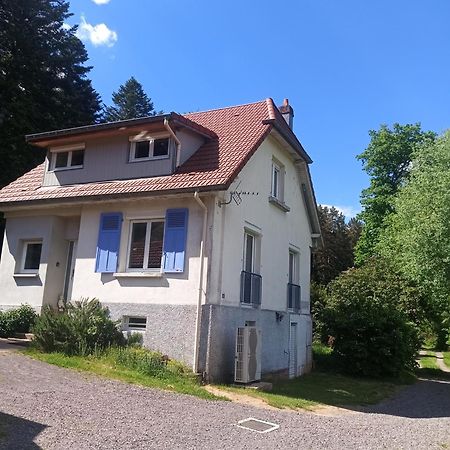 Vosges House 110 M2 In The Heart Of Nature L'Oree Du Bois Saint-Michel-sur-Meurthe Exterior photo