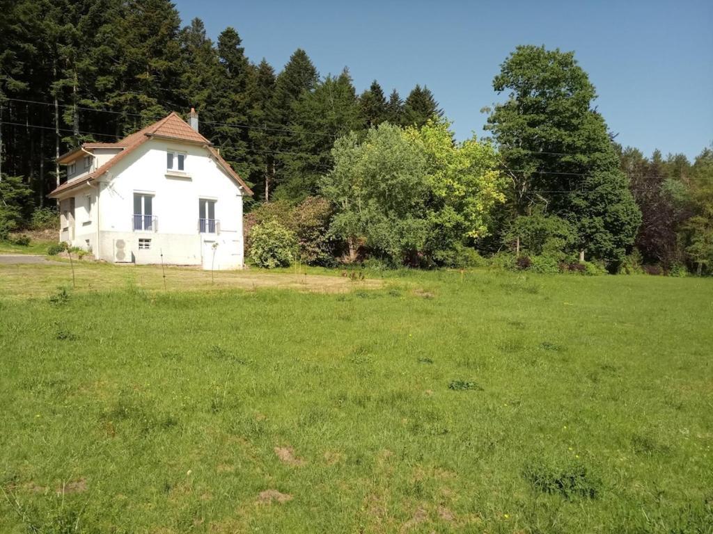 Vosges House 110 M2 In The Heart Of Nature L'Oree Du Bois Saint-Michel-sur-Meurthe Exterior photo