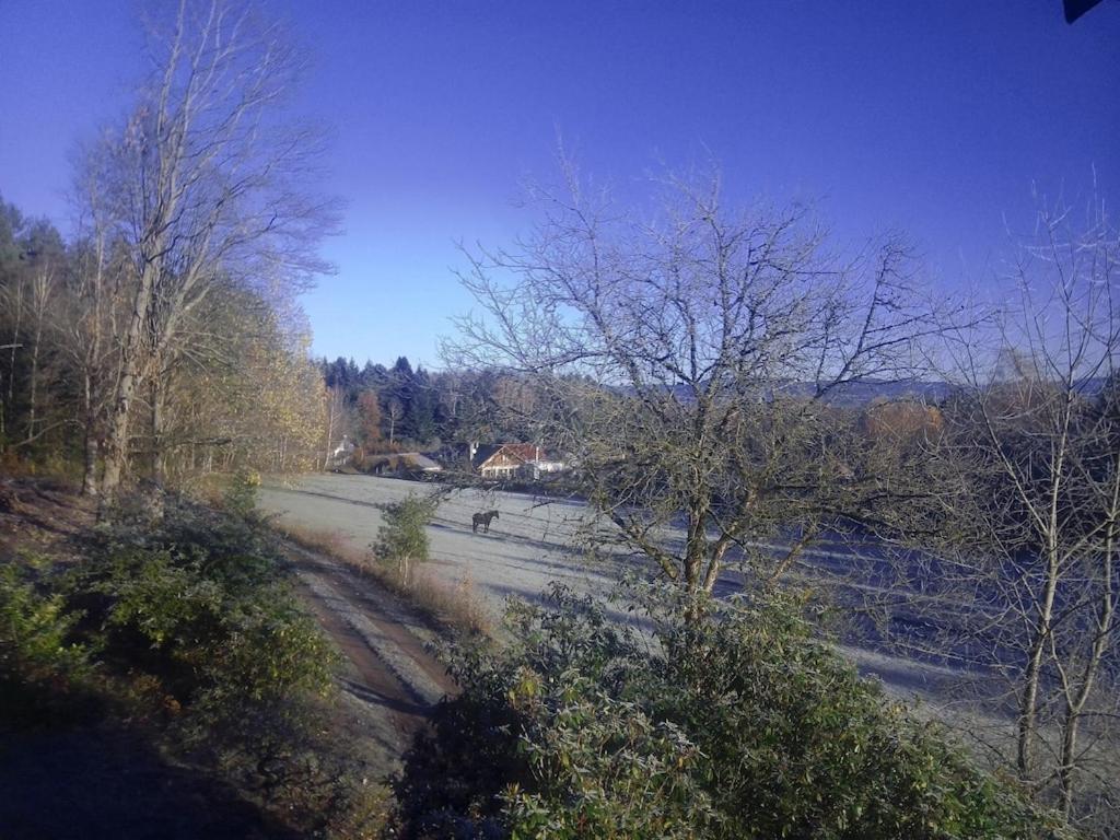 Vosges House 110 M2 In The Heart Of Nature L'Oree Du Bois Saint-Michel-sur-Meurthe Exterior photo