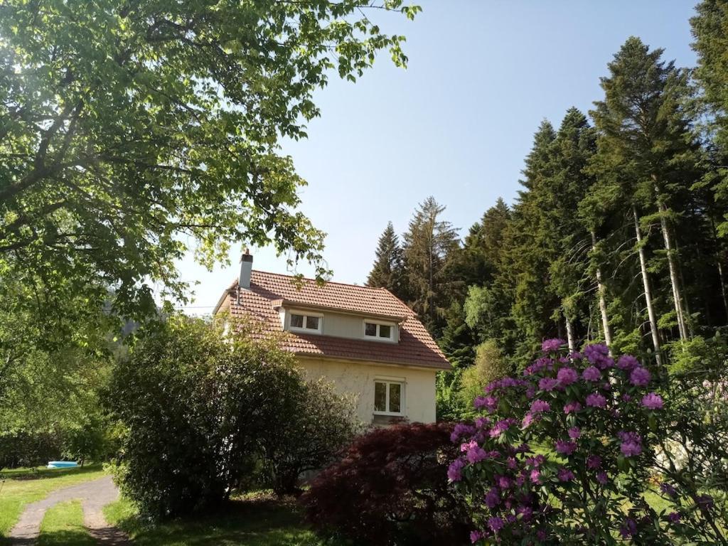 Vosges House 110 M2 In The Heart Of Nature L'Oree Du Bois Saint-Michel-sur-Meurthe Exterior photo
