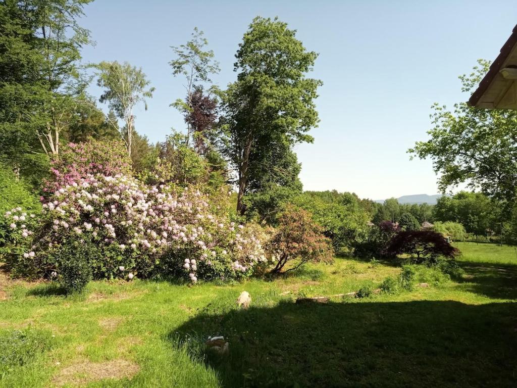Vosges House 110 M2 In The Heart Of Nature L'Oree Du Bois Saint-Michel-sur-Meurthe Exterior photo