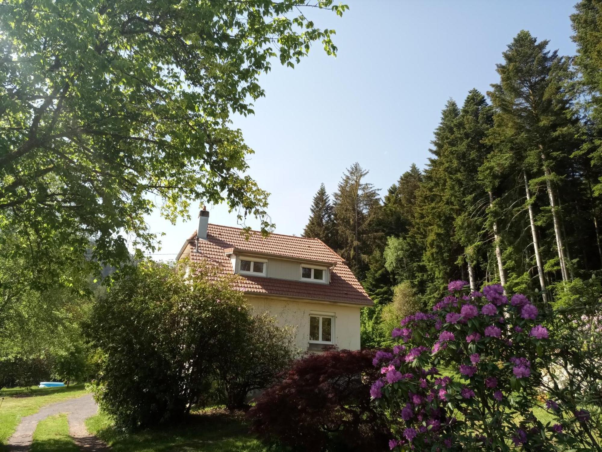 Vosges House 110 M2 In The Heart Of Nature L'Oree Du Bois Saint-Michel-sur-Meurthe Exterior photo